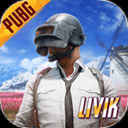 pubg国际服地铁逃生正版